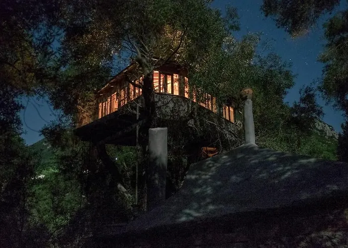 Margaritis\'S Treehouse