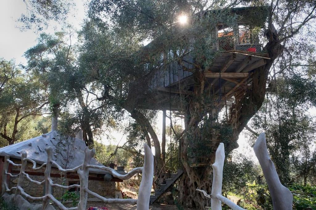 Margaritis's Treehouse *