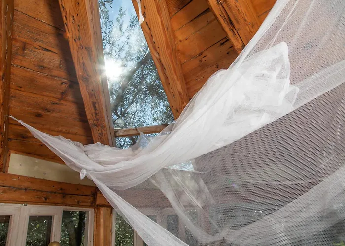 Margaritis\'S Treehouse