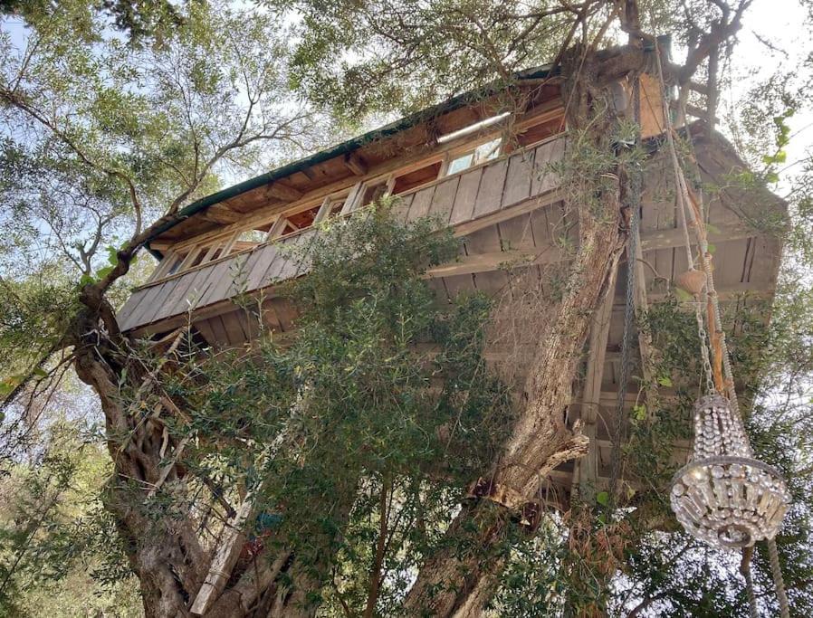 Margaritis's Treehouse
