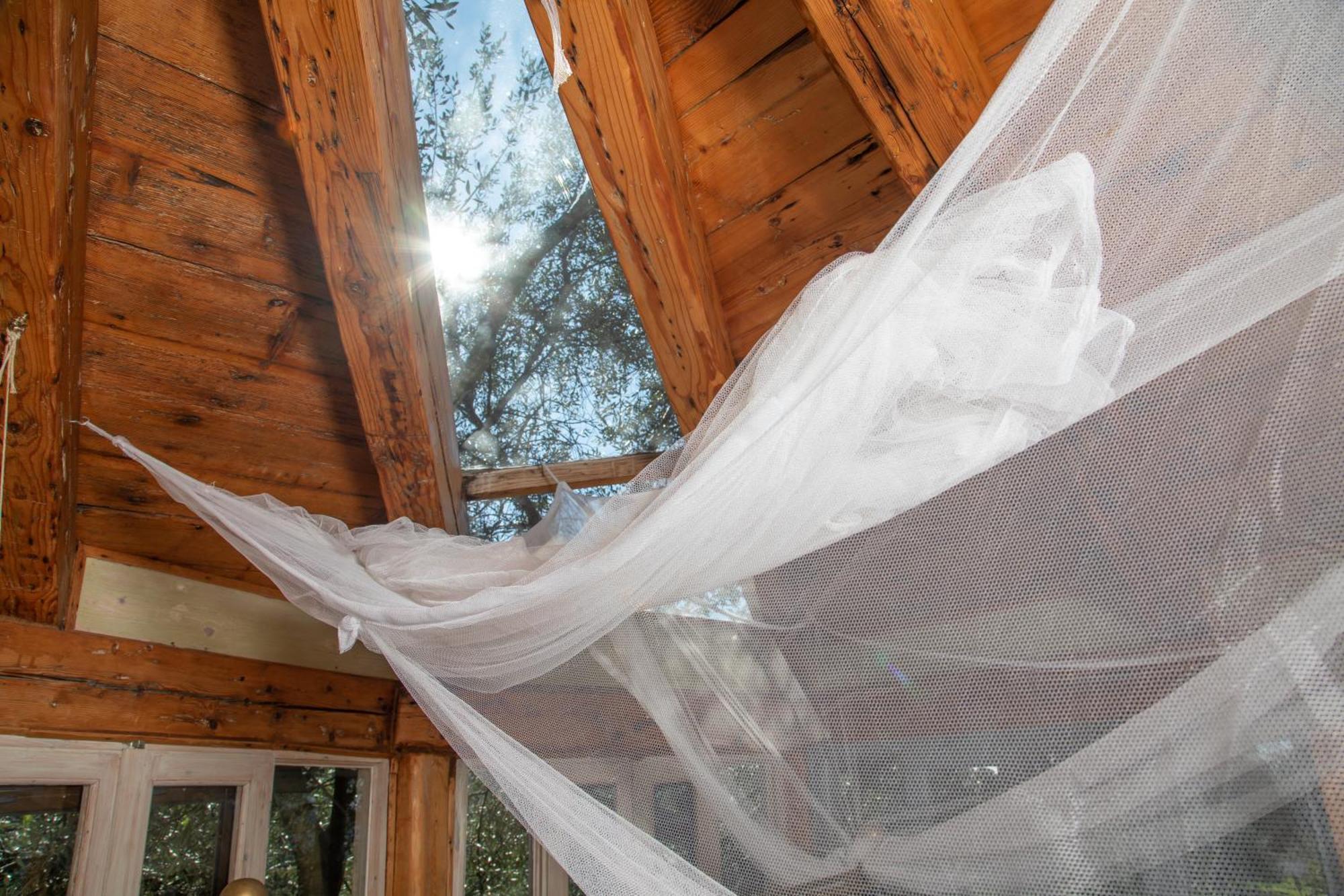 Margaritis's Treehouse *